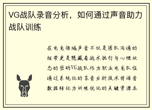 VG战队录音分析,如何通过声音助力战队训练