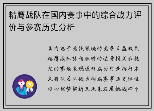 精鹰战队在国内赛事中的综合战力评价与参赛历史分析